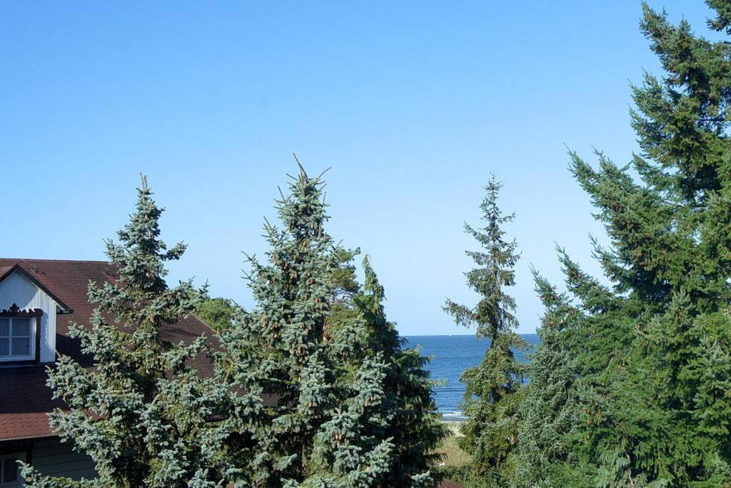 Inselstrand Inselstrand 1320 Heringsdorf  Eksteriør bilde